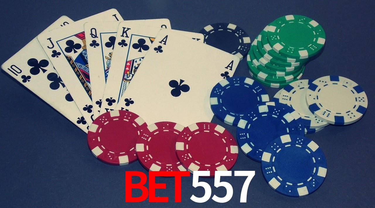Game Statistics bet557